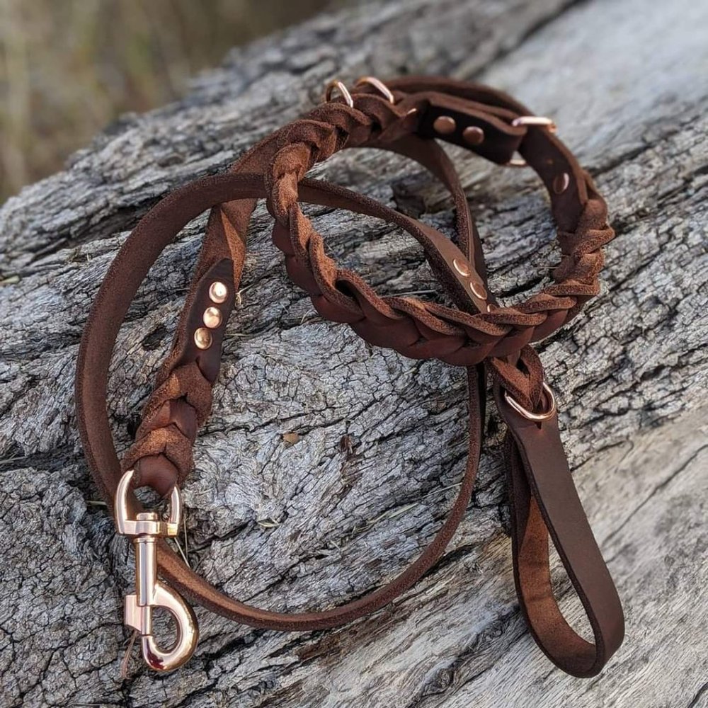 Leather dog leash/collar set